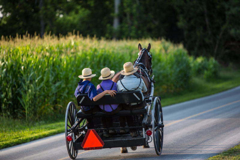Chasing the Amish
